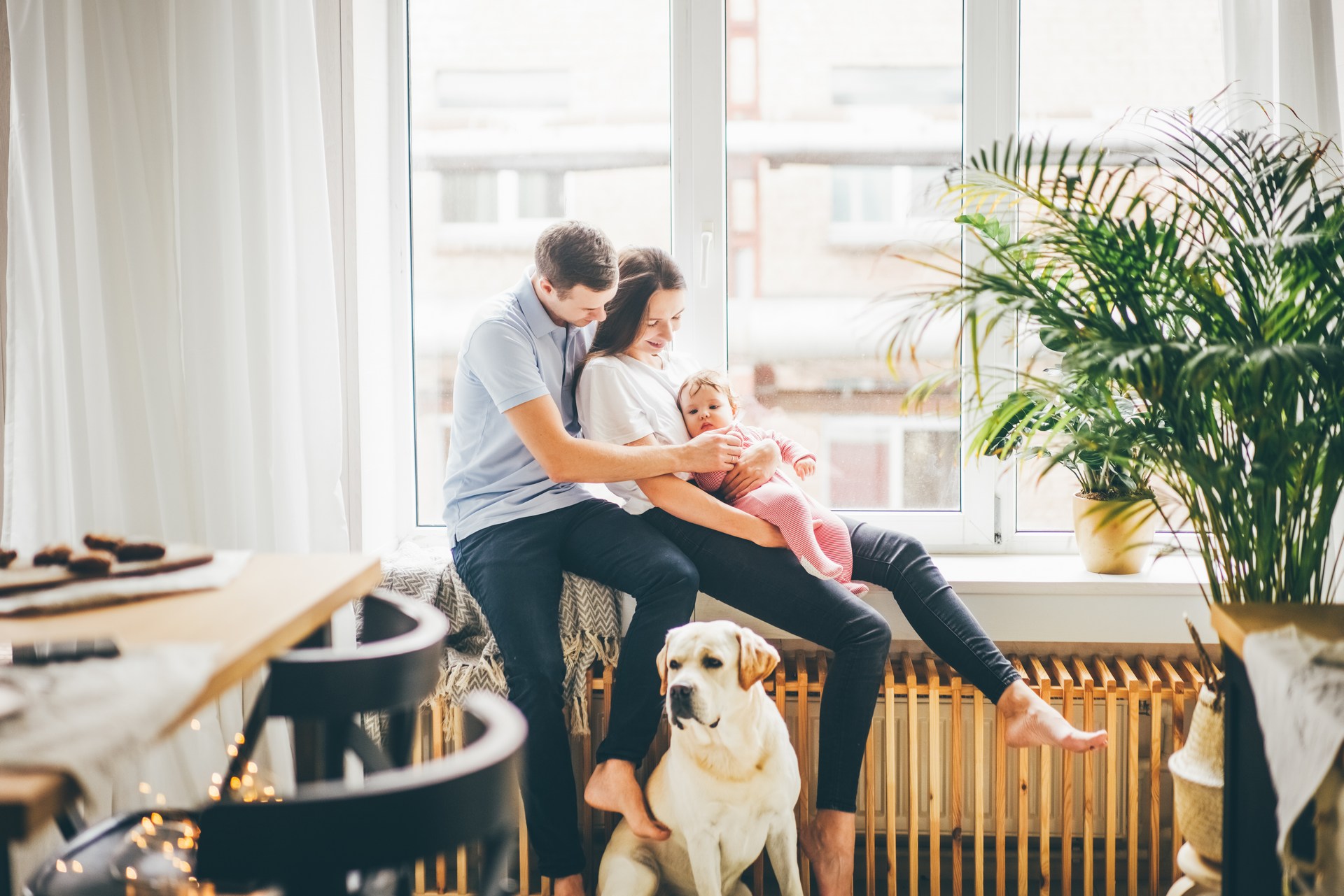 Robuste Alu-Fenster für Ihr Zuhause